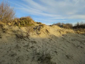 Oostnieuwkerke duinen wandeling in de koude (België)